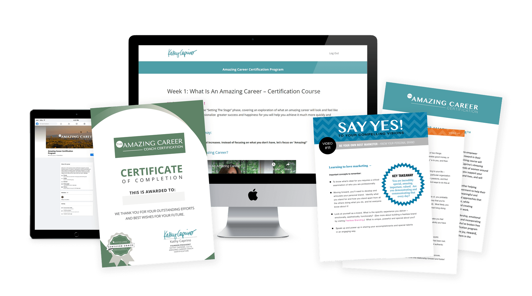 amazing_career_project_certification - Kathy Caprino